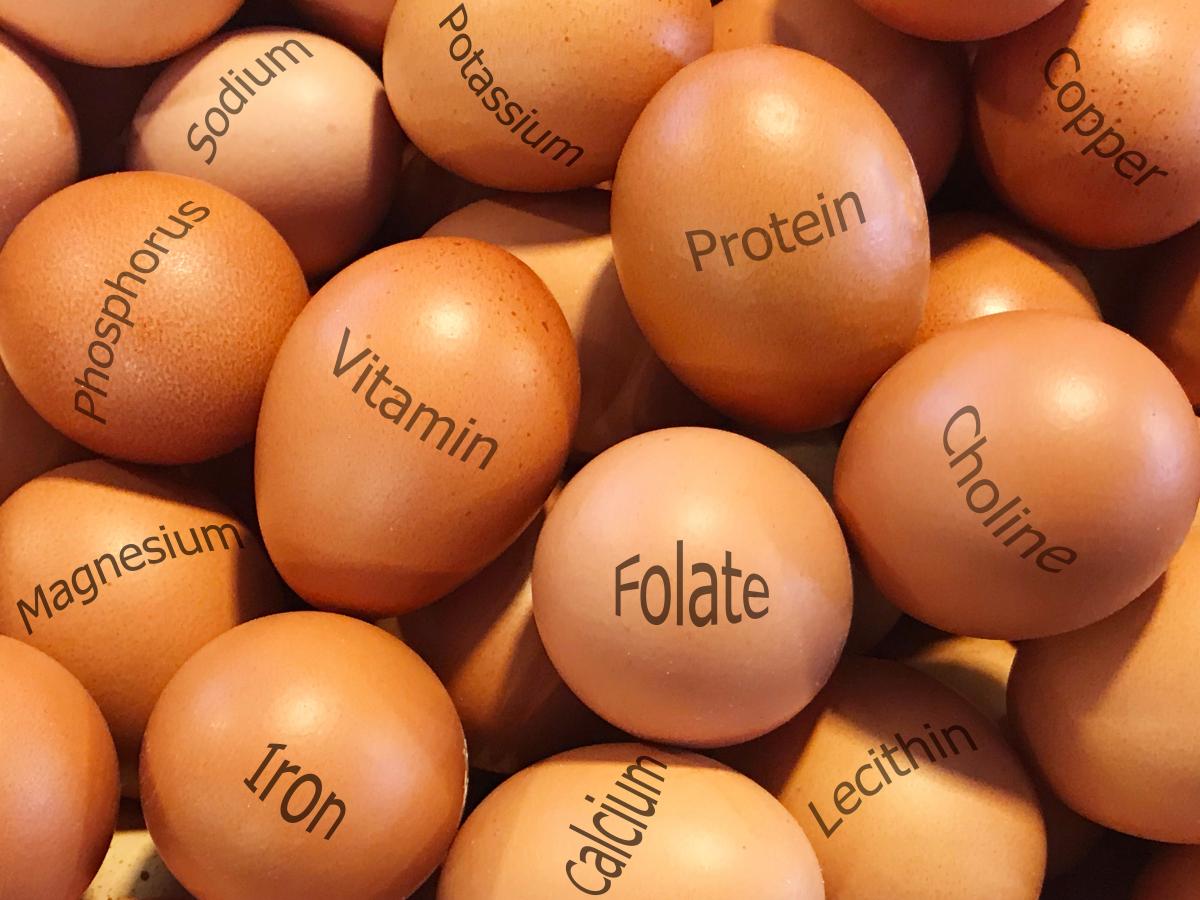 minéraux et vitamines dans les œufs