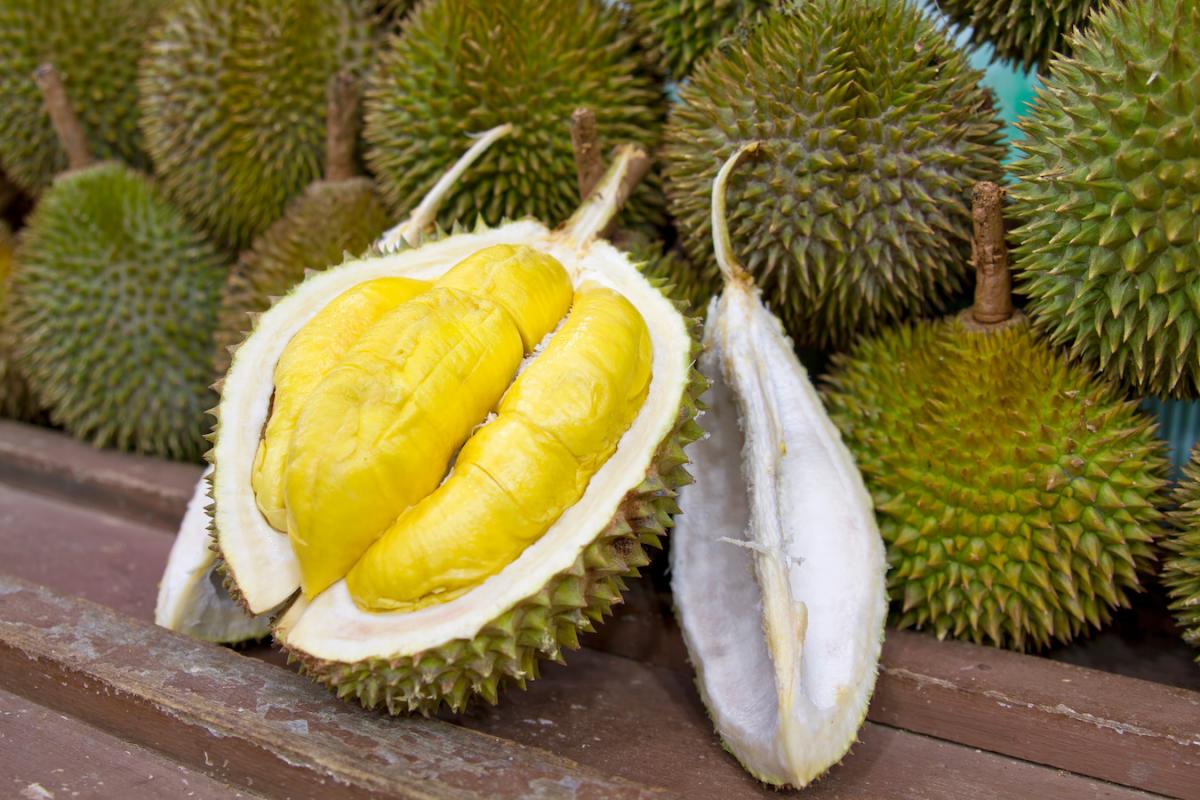durian aux fruits exotiques