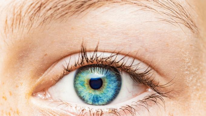 Une alimentation pour des yeux sains ne se résume pas uniquement à des produits riches en vitamine A. D'autres vitamines et minéraux ne sont pas moins importants.